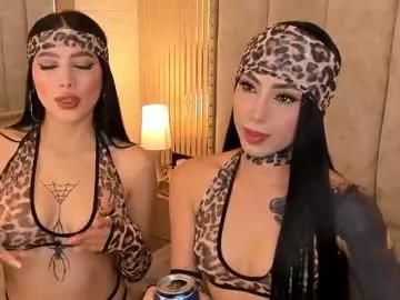 Discover our girls online shows and discover the company of countless livestreamers, with stunning shapes, sex toys and more.