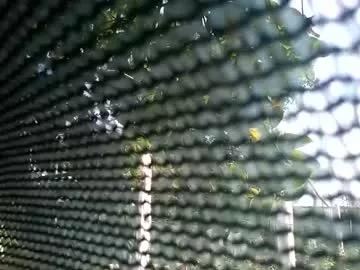 xxxariell_sky_1 from Chaturbate