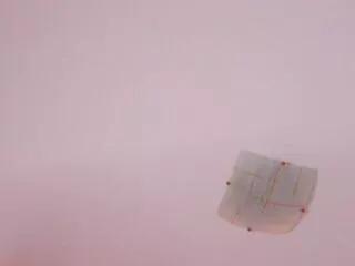 Cloe_rhett webcams show profile image 
