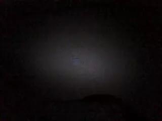 Willa_vance webcams show profile image 