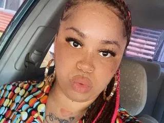VelvetRise webcams show profile image 