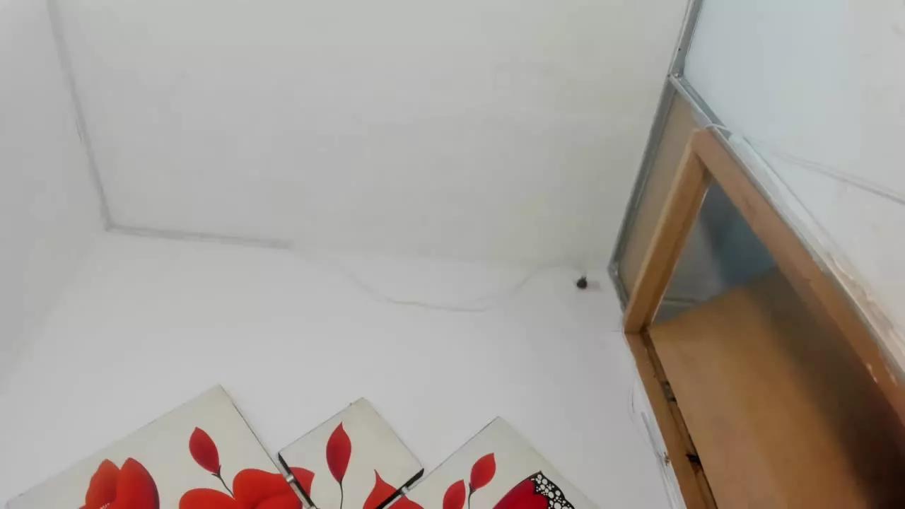 kaiataylorTS from Streamray