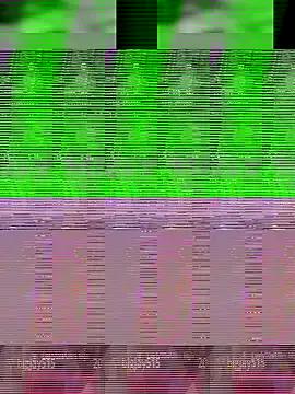 Aaisha-16 from StripChat