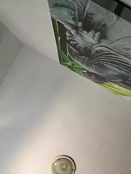 aavrdvh33 from StripChat
