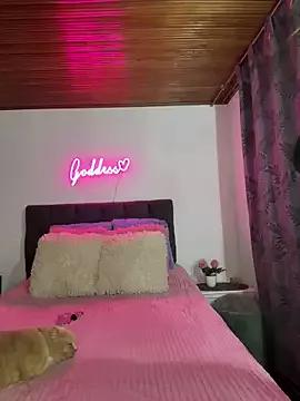 Discover our girls online shows and discover the company of countless livestreamers, with stunning shapes, sex toys and more.