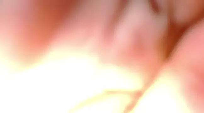 Ambarhilton from StripChat