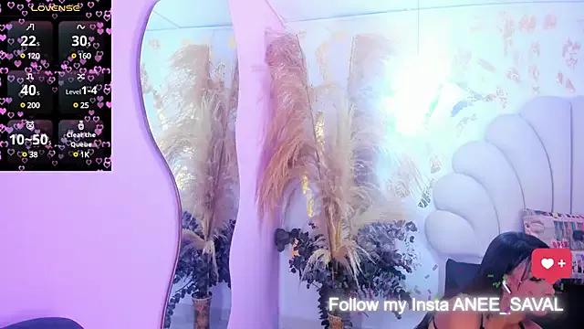 aneesaval from StripChat