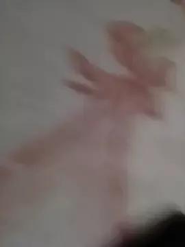 Anitta0691 webcams show profile image 