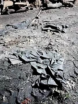 Ankitahot1993 webcams show profile image 