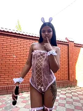 Discover our girls online shows and discover the company of countless livestreamers, with stunning shapes, sex toys and more.