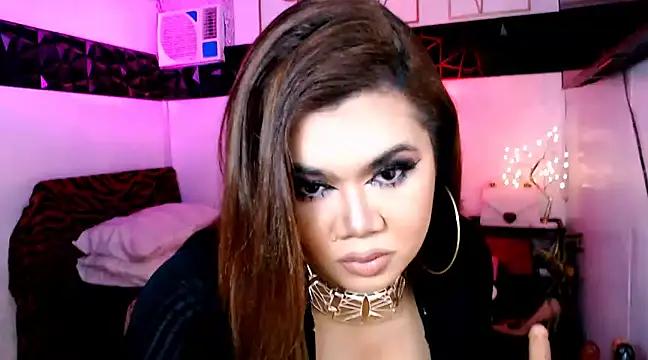 Discover our girls online shows and discover the company of countless livestreamers, with stunning shapes, sex toys and more.