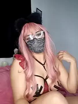 Discover our girls online shows and discover the company of countless livestreamers, with stunning shapes, sex toys and more.