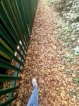 bbyxklaus from StripChat