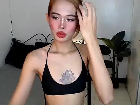Discover our girls online shows and discover the company of countless livestreamers, with stunning shapes, sex toys and more.