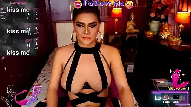 Discover our girls online shows and discover the company of countless livestreamers, with stunning shapes, sex toys and more.