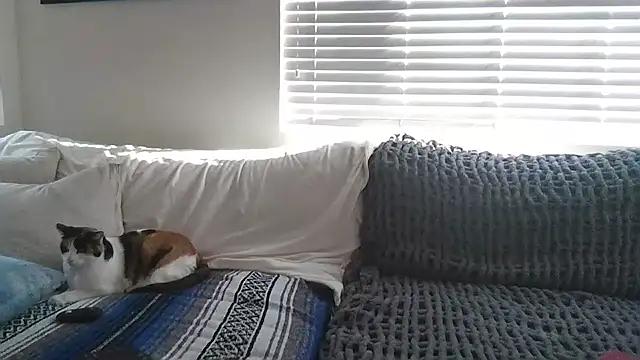 BonnieBazz from StripChat