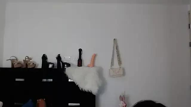 Discover our girls online shows and discover the company of countless livestreamers, with stunning shapes, sex toys and more.