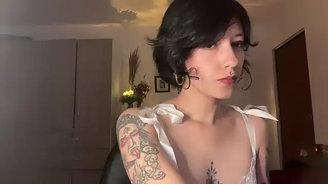 Discover our girls online shows and discover the company of countless livestreamers, with stunning shapes, sex toys and more.