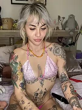 Discover our girls online shows and discover the company of countless livestreamers, with stunning shapes, sex toys and more.