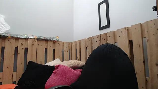 Discover our girls online shows and discover the company of countless livestreamers, with stunning shapes, sex toys and more.