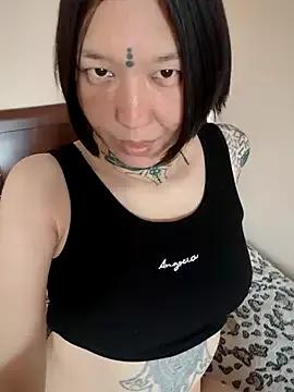 Discover our girls online shows and discover the company of countless livestreamers, with stunning shapes, sex toys and more.