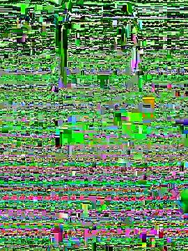 Photos of Christy-18 from StripChat is Group