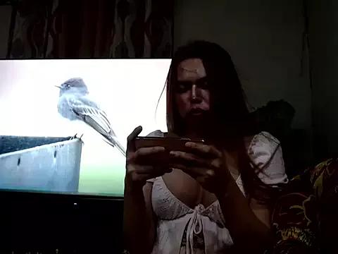 Discover our girls online shows and discover the company of countless livestreamers, with stunning shapes, sex toys and more.