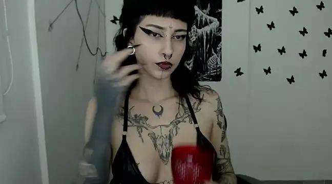 Discover our girls online shows and discover the company of countless livestreamers, with stunning shapes, sex toys and more.