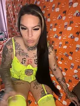 Discover our girls online shows and discover the company of countless livestreamers, with stunning shapes, sex toys and more.