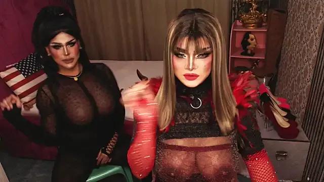 Domtrans4sub webcams show profile image 