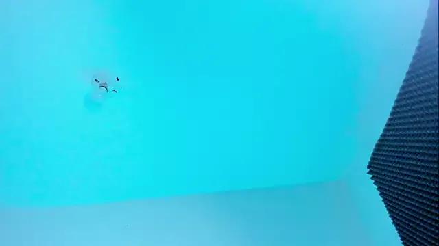 Ellope_ from StripChat
