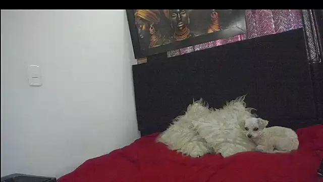 Evaaross_2345 webcams show profile image 