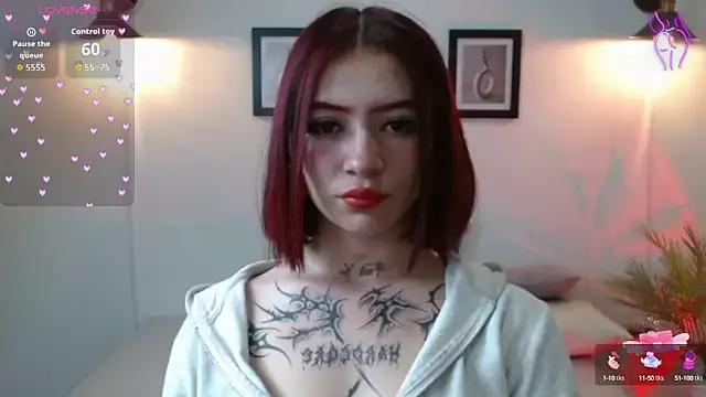Discover our girls online shows and discover the company of countless livestreamers, with stunning shapes, sex toys and more.