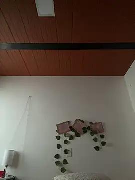 Evelin_miller97 from StripChat