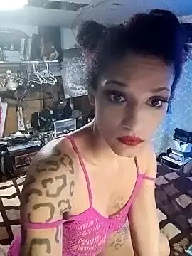 Farahmoans4u webcams show profile image 