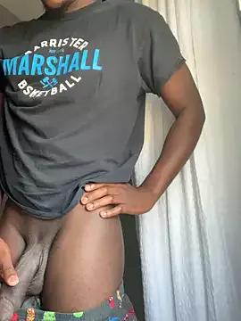 Festivitiesking1 from StripChat is Freechat