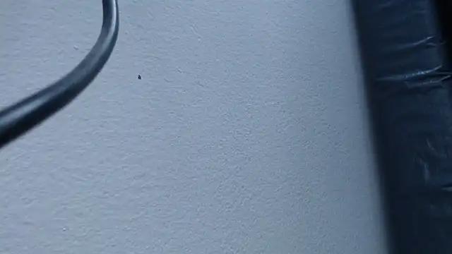 Hanna_Fox_69 from StripChat