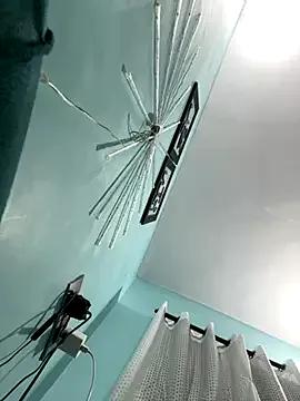 Heenashai webcams show profile image 