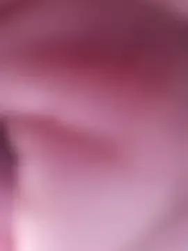 Hotbhabhicallme webcams show profile image 