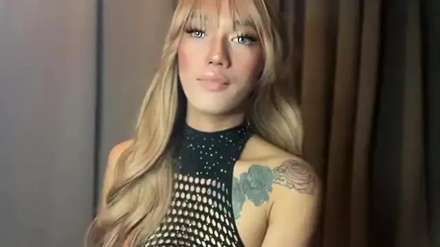 Discover our girls online shows and discover the company of countless livestreamers, with stunning shapes, sex toys and more.