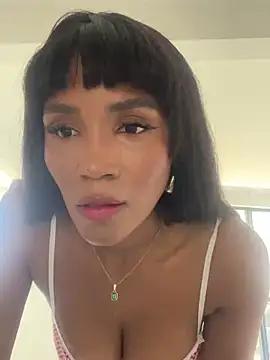 Discover our girls online shows and discover the company of countless livestreamers, with stunning shapes, sex toys and more.