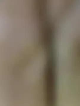 jully-jully from StripChat