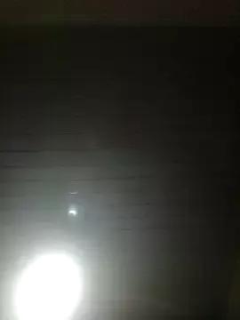 KingBonga webcams show profile image 