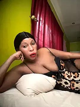 kinghtwalker from StripChat is Freechat