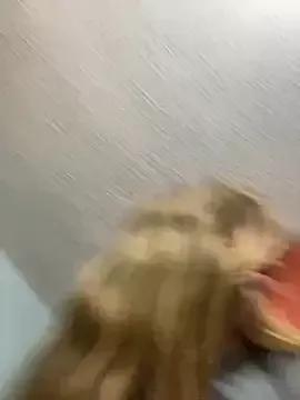 KittieCatty from StripChat
