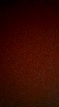 kitty_2000 from StripChat