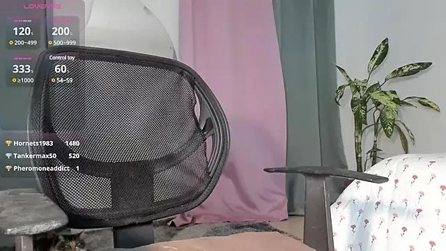 Discover our girls online shows and discover the company of countless livestreamers, with stunning shapes, sex toys and more.
