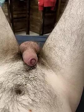 Photos of LeoSubLifestyle4You from StripChat is Freechat