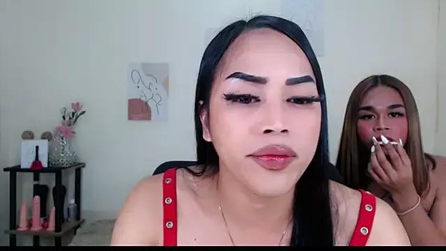 Discover our girls online shows and discover the company of countless livestreamers, with stunning shapes, sex toys and more.