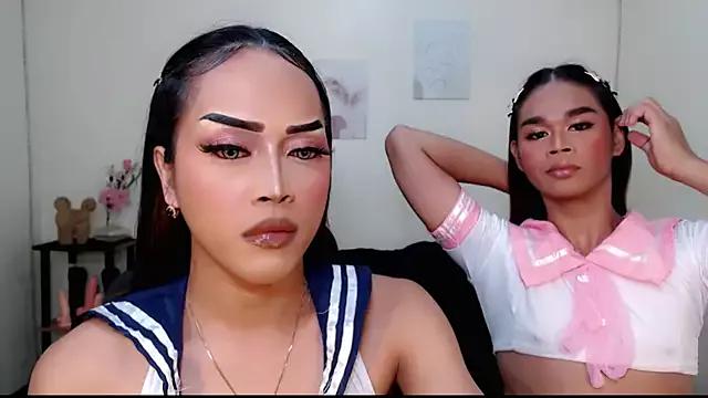 Discover our girls online shows and discover the company of countless livestreamers, with stunning shapes, sex toys and more.